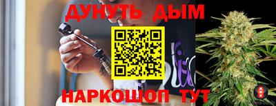 jwh Бердск