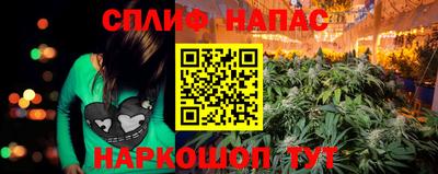 jwh Бердск