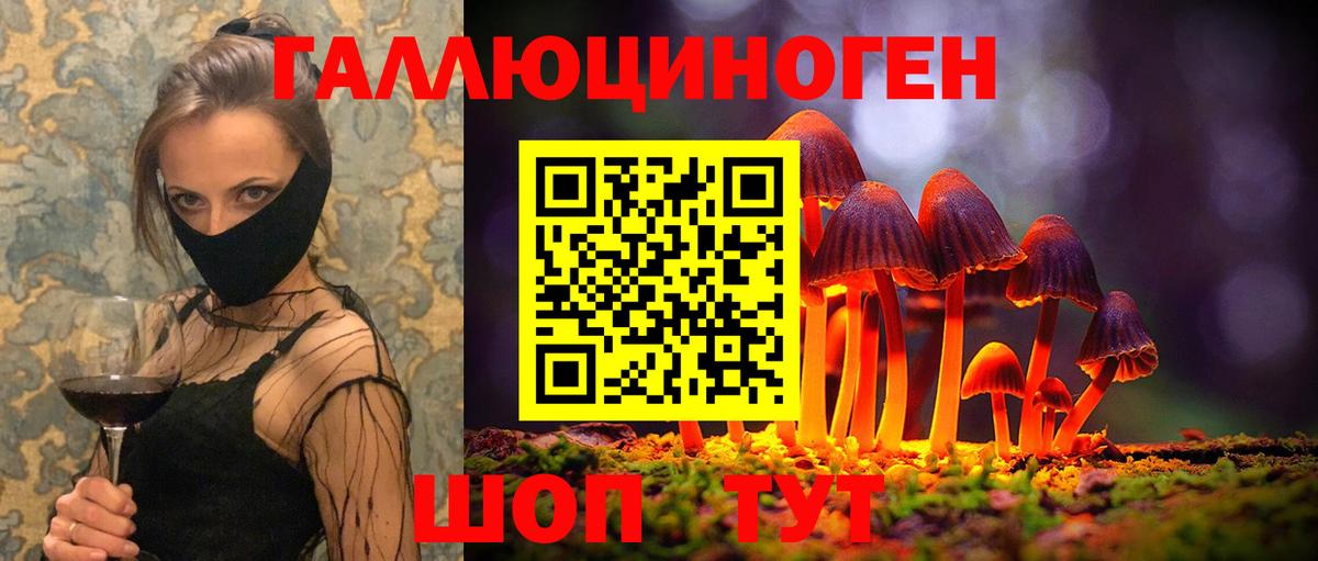 Ачхой-Мартан  Псилоцибиновые грибы Psilocybine cubensis  Вход с VPN 