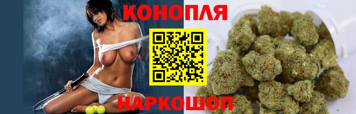 Бошки Шишки индика Ачхой-Мартан